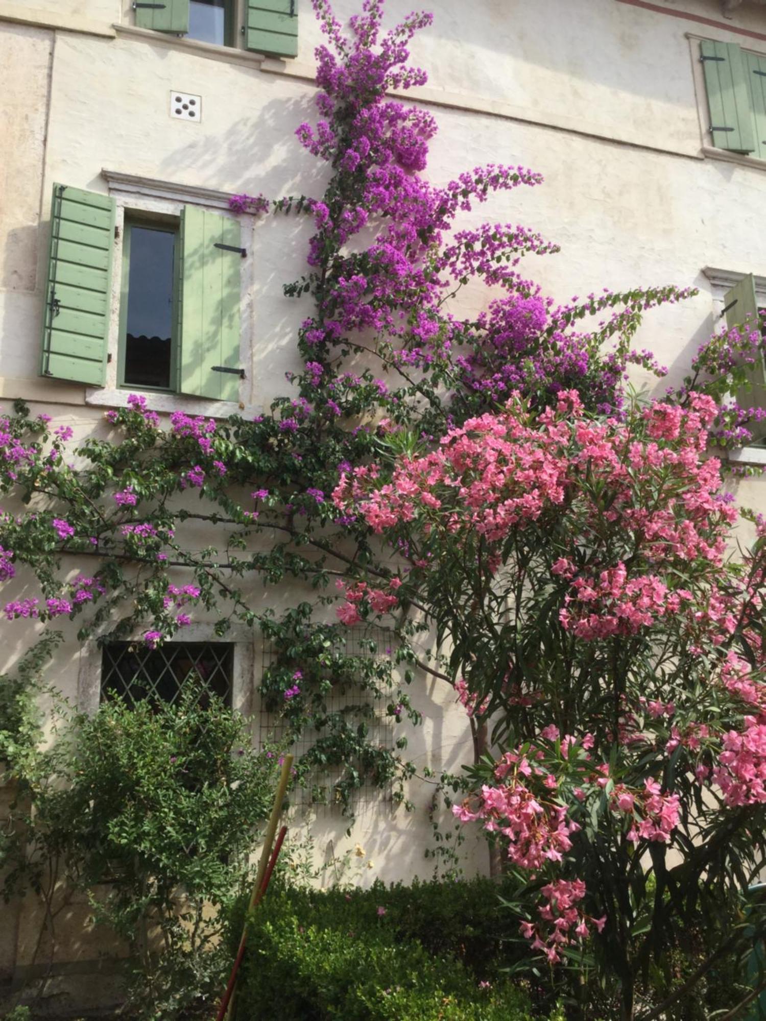 ברדולינו Villa Cisano Residenza D'Epoca מראה חיצוני תמונה
