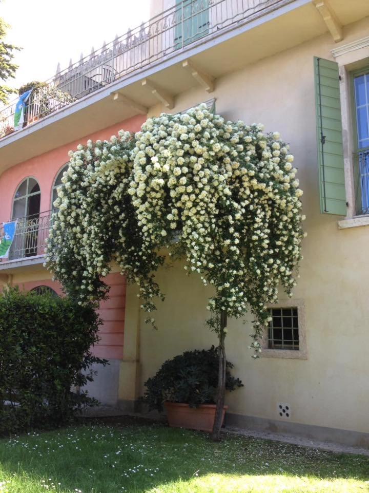 ברדולינו Villa Cisano Residenza D'Epoca מראה חיצוני תמונה
